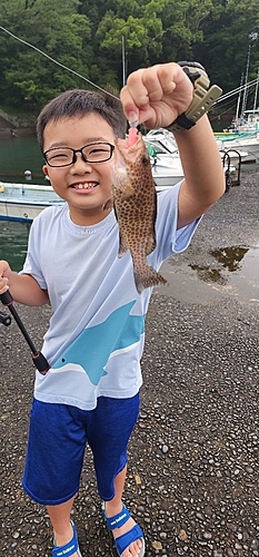 オオモンハタの釣果