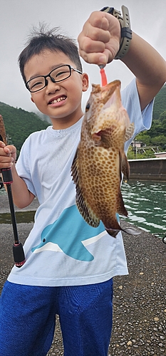 オオモンハタの釣果