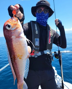 アマダイの釣果