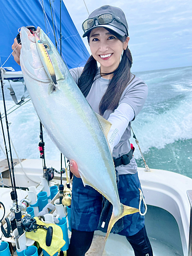 ハマチの釣果