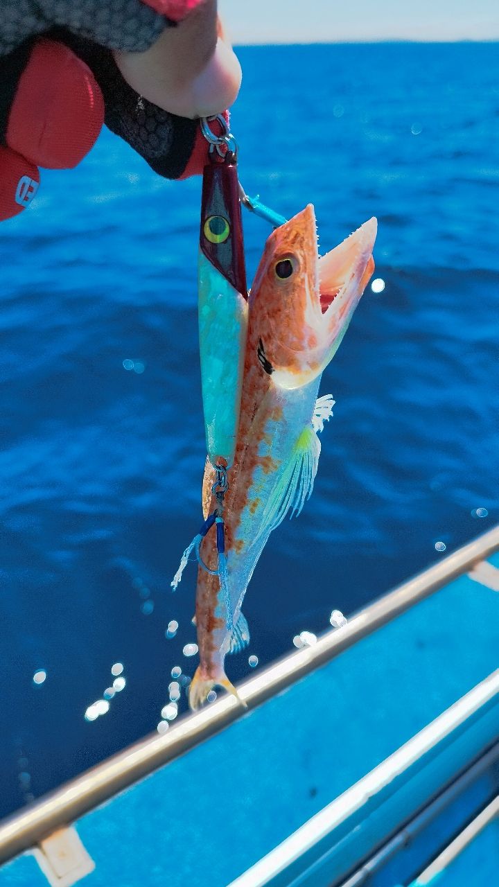 🎣みやもん🎣さんの釣果 2枚目の画像