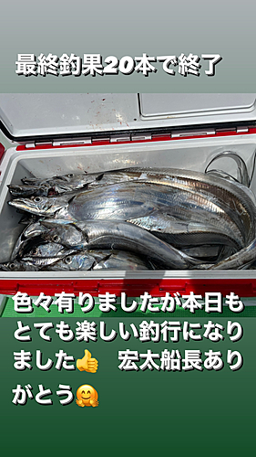 タチウオの釣果