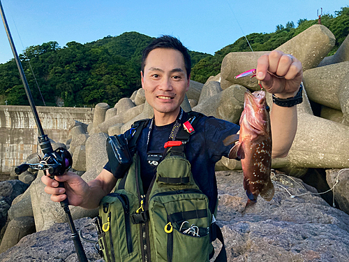 キジハタの釣果