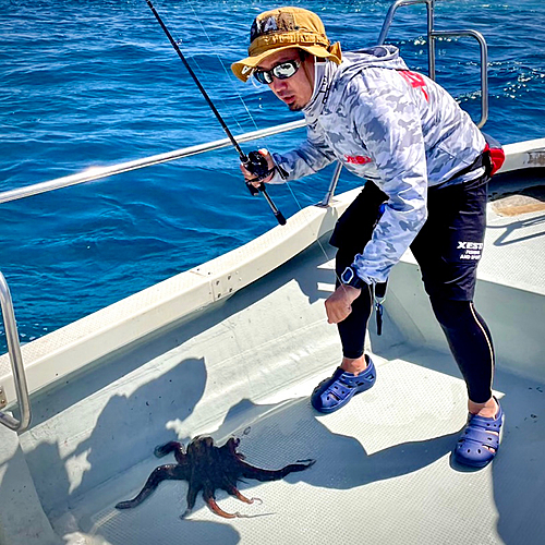 マダコの釣果