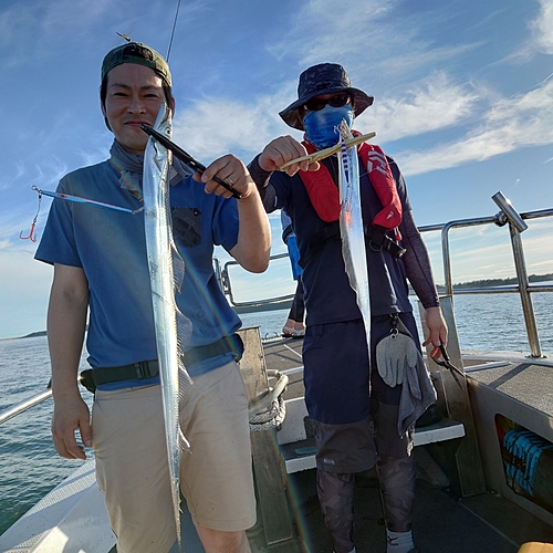 タチウオの釣果