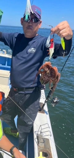 タコの釣果