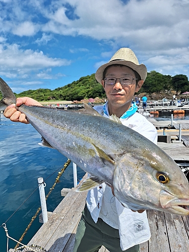 カンパチの釣果