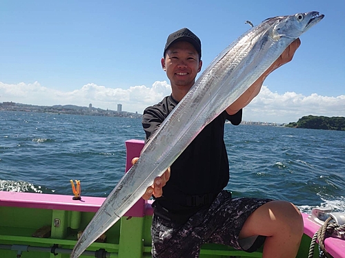 タチウオの釣果