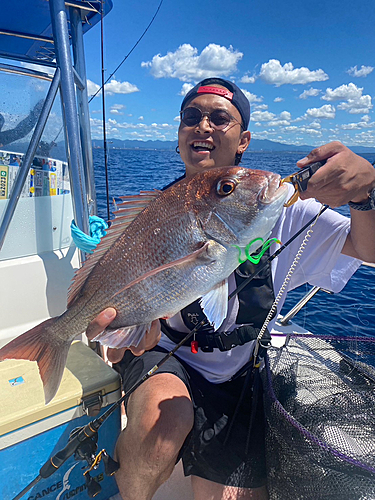 マダイの釣果