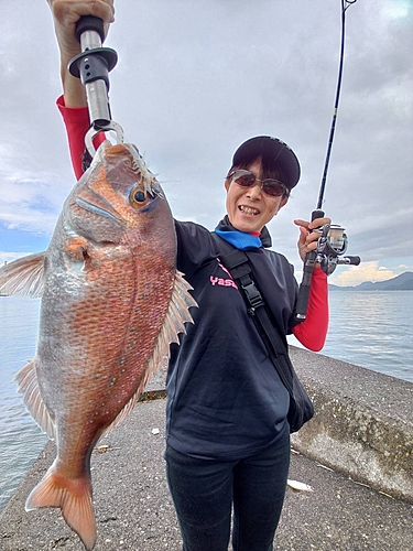 タイの釣果