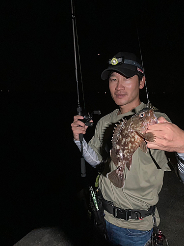 カサゴの釣果