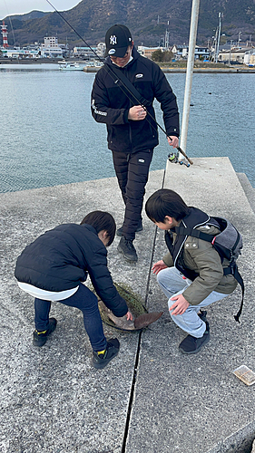 コブダイの釣果