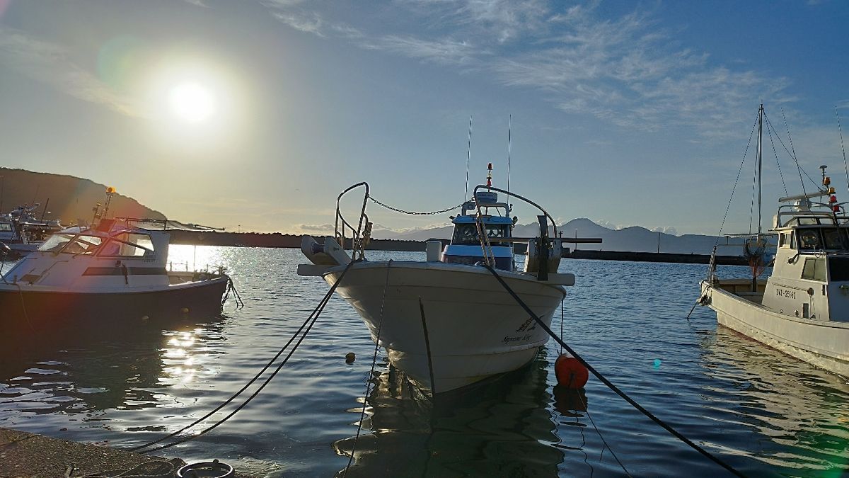 🎣みやもん🎣さんの釣果 3枚目の画像