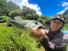 ブラックバスの釣果