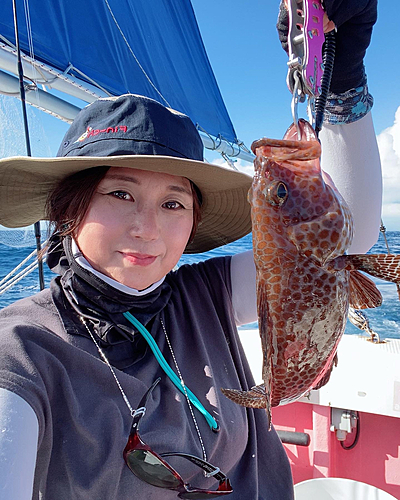 オオモンハタの釣果