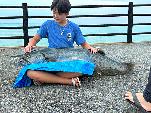 オニカマスの釣果