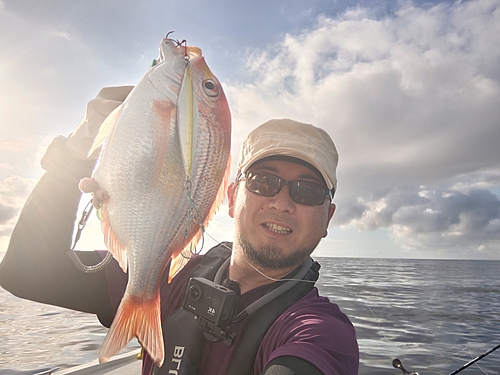 レンコダイの釣果