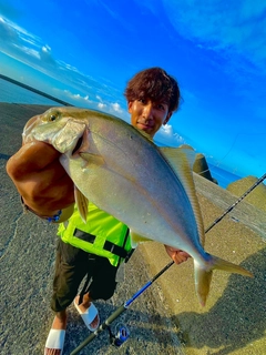 ショゴの釣果