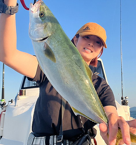 ハマチの釣果