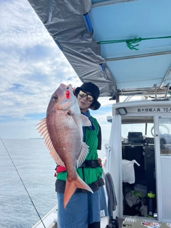 マダイの釣果