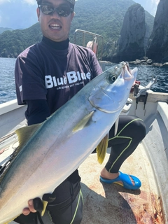 ブリの釣果