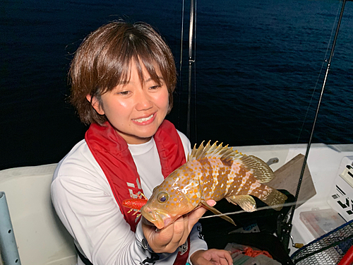 アコウの釣果