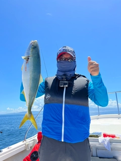 ハマチの釣果