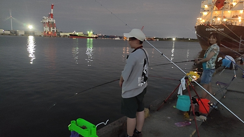 ウミタナゴの釣果