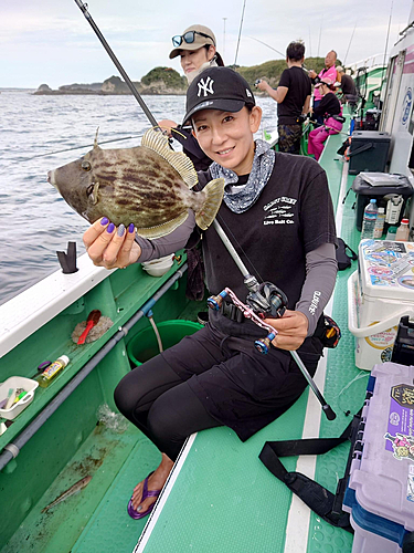 カワハギの釣果