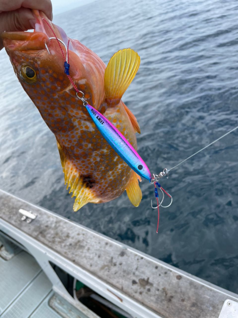 アングラー九州さんの釣果 2枚目の画像