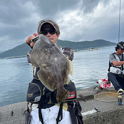 カワハギの釣果