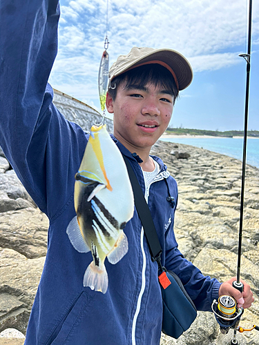 モンガラカワハギの釣果