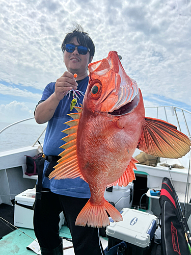 チカメキントキの釣果