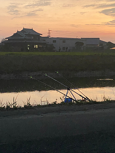 ウナギの釣果