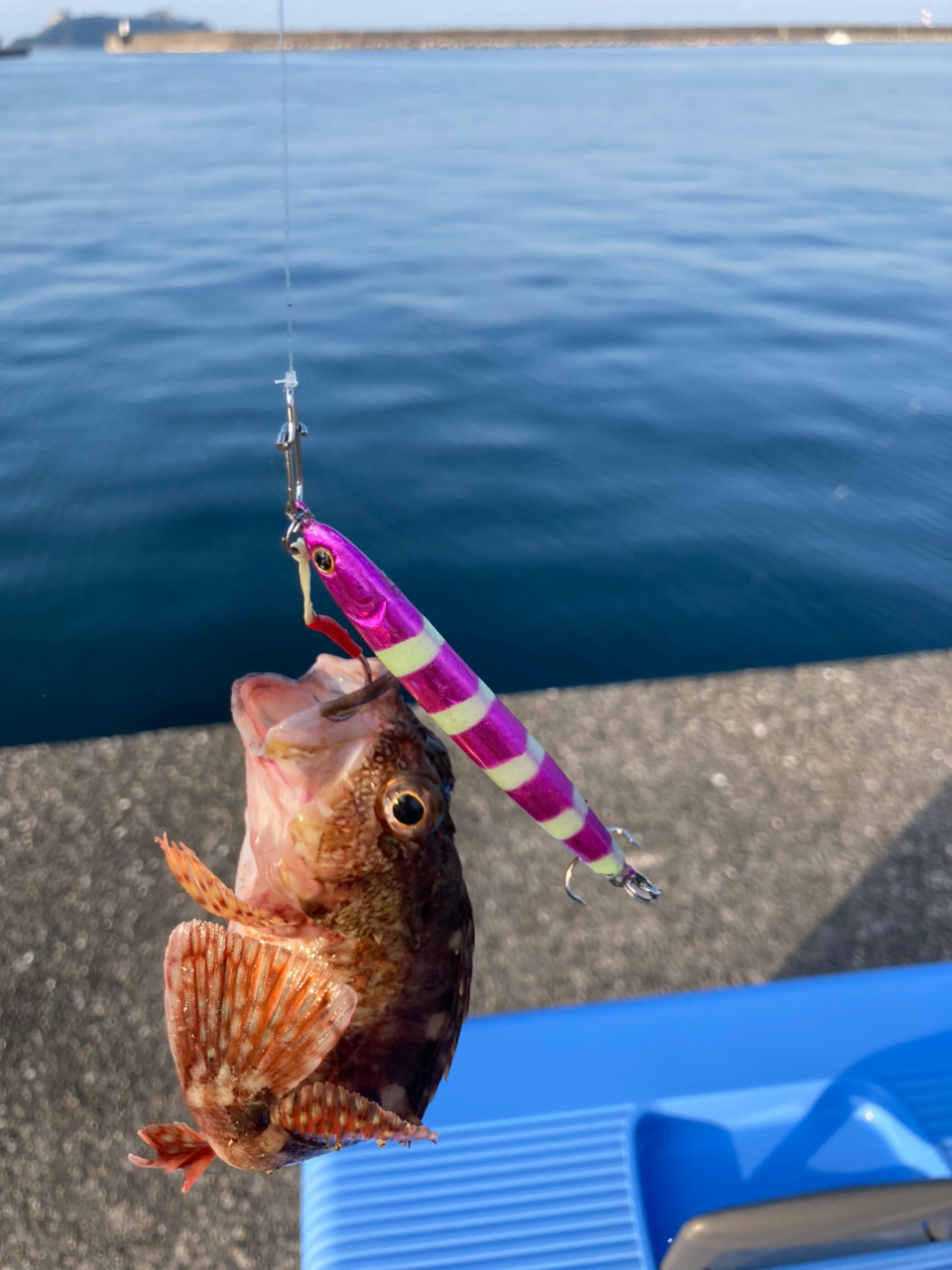 新 長崎県の海釣り - 雑誌