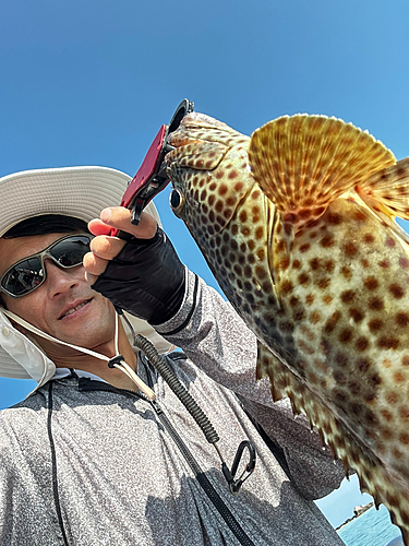 オオモンハタの釣果