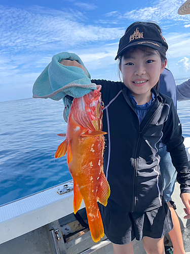 アカハタの釣果