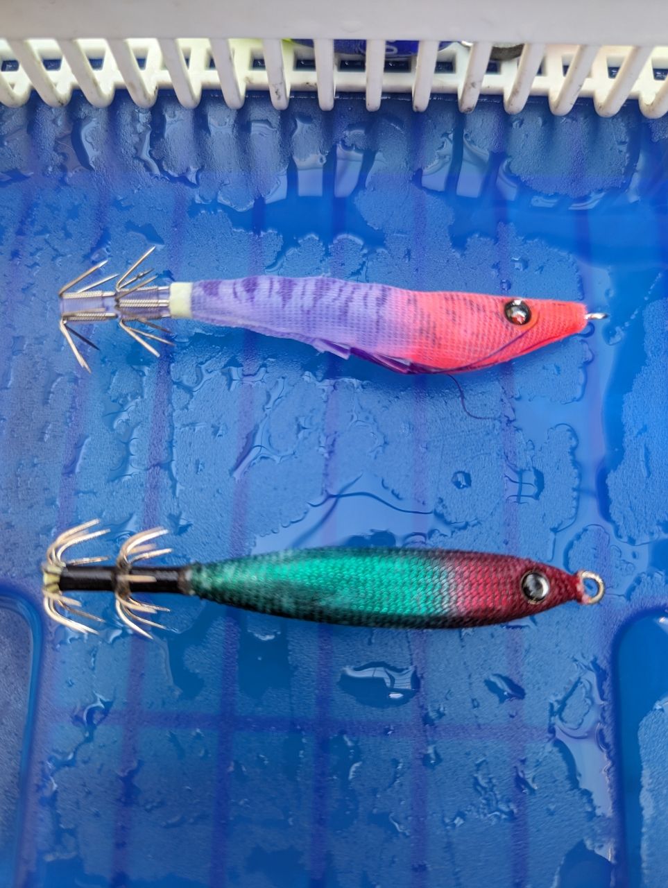 リリースサイズさんの釣果 2枚目の画像