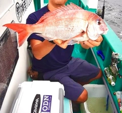 マダイの釣果