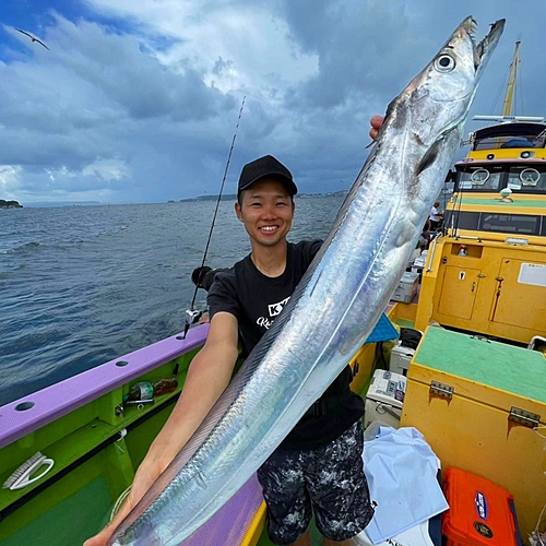 タチウオの釣果