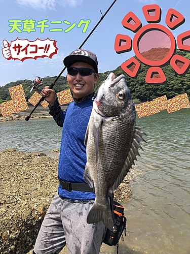 チヌの釣果