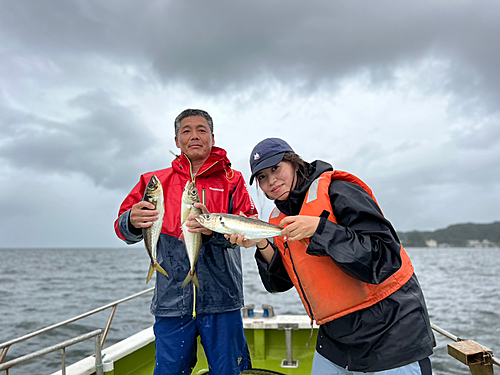 マアジの釣果