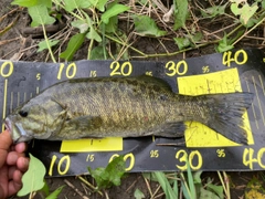 スモールマウスバスの釣果