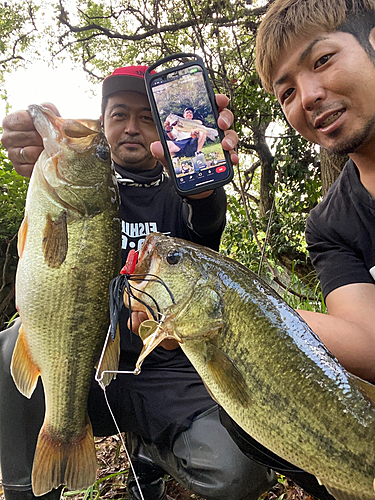 ブラックバスの釣果