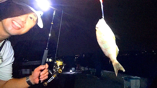 チャリコの釣果