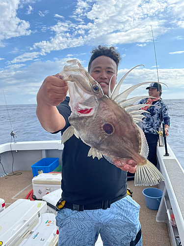 マトウダイの釣果