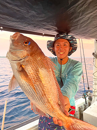 マダイの釣果