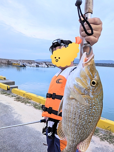 タマンの釣果