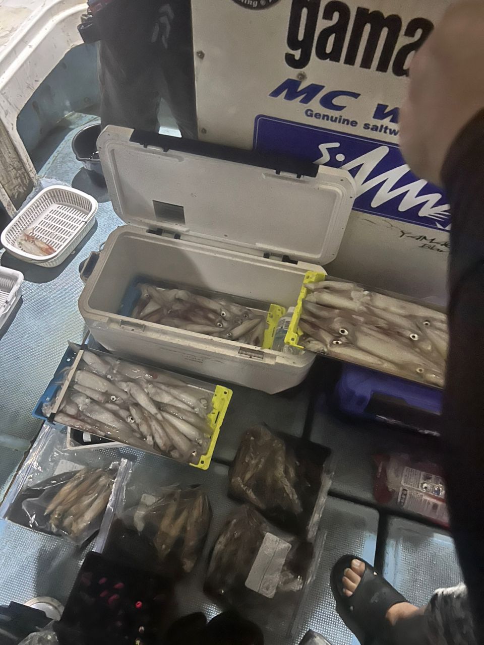 たろう^_^さんの釣果 2枚目の画像