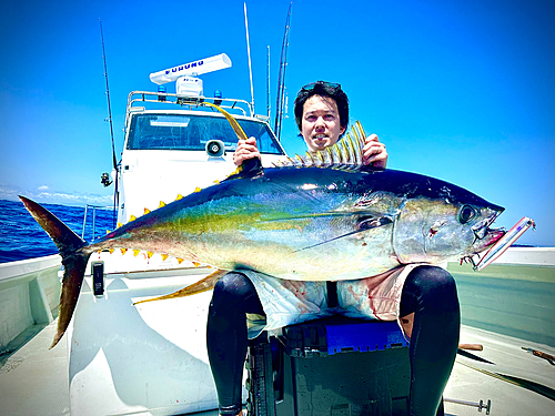 キハダマグロの釣果